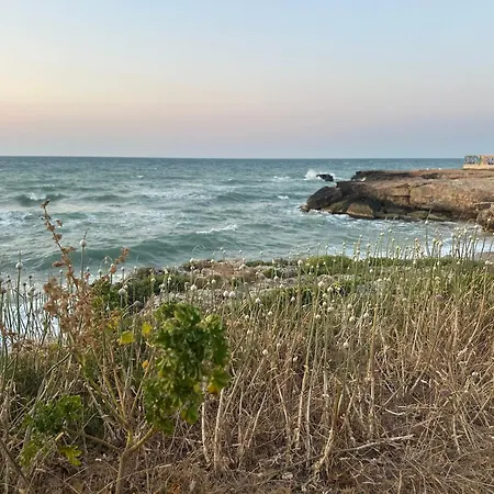 Vilă Antonia Sul Mare Con Piscina Torre A Mare